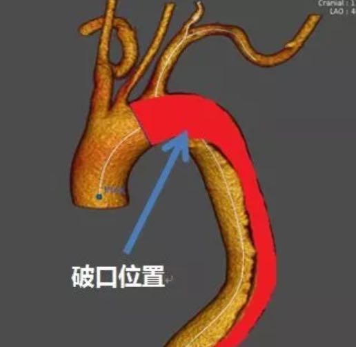 微信图片_20201104104800.jpg